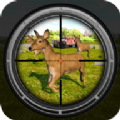 4x4狩猎动物模拟器(4x4 Hunting Animal Simulator)