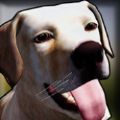 狗舍模拟器3D(Dog Shelter 3D)